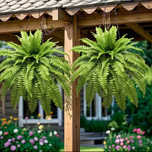 18����沨˹��ާ�ݾGֲ����Gֲ��˹�~�����٘�֦�[�żҾ��҃���