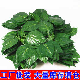 仿真藤条花藤绿叶吊顶装饰葡萄叶树叶假花绿萝大叶子塑料藤蔓批发
