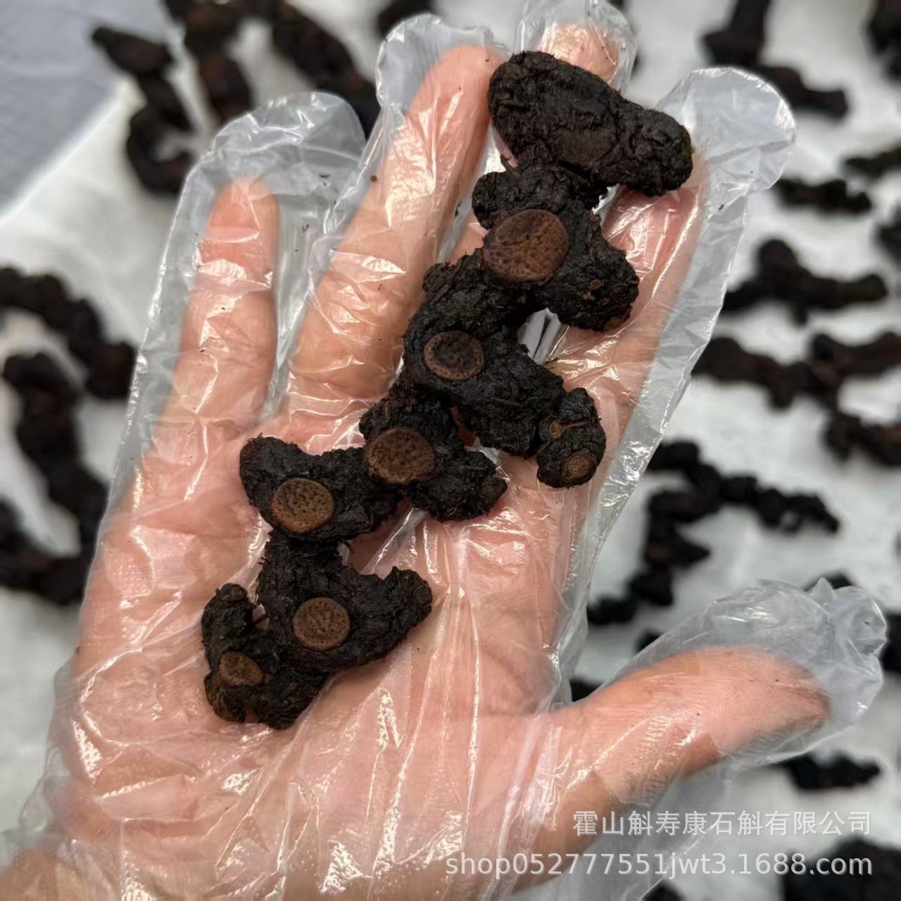 Dried Polygonatum Rhizome Huang Jing 九蒸九晒 500g TCM Herbal Tea and Soup Ingredient key features