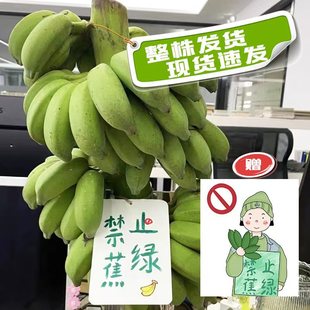 ������ֹ���Gˮ���㽶�ܽ^���]�k���ҰŽ������oֹ���GС�׽�
