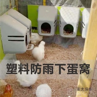 ���u�C����������������ɢ�BСĸ�u�µ����������䷿�ӄe����̫��
