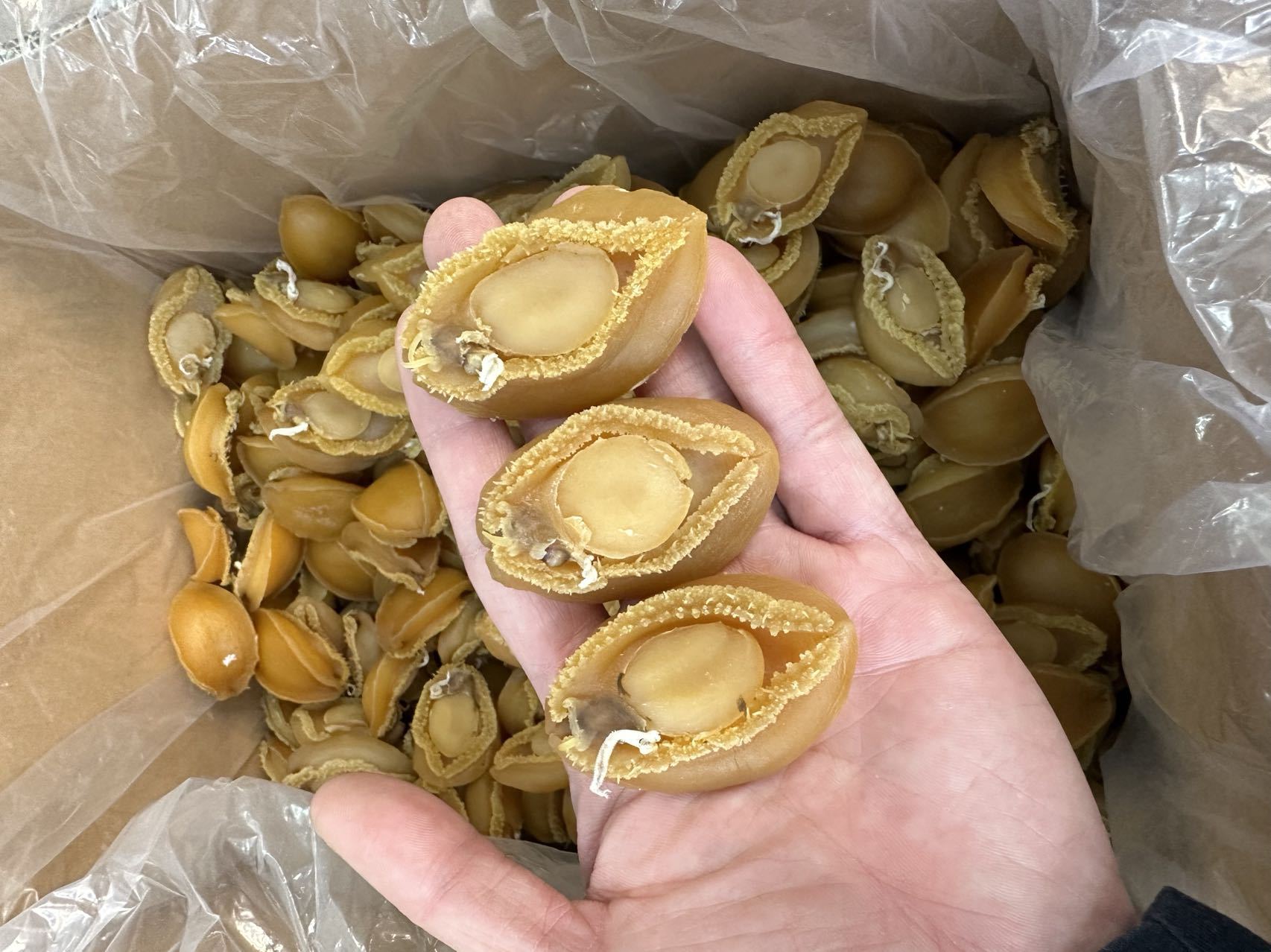 微信图片_20230202141406.jpg