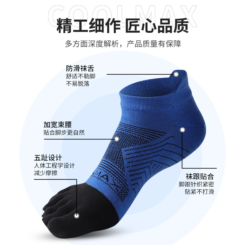 Gallery 1