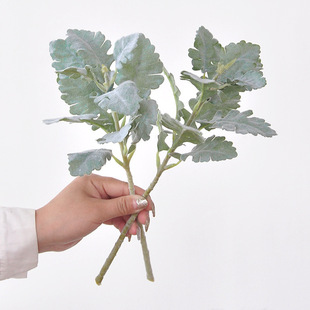 �y�~�շ��滨ֲë��@�L��ɫ���^�쾰�Ҿ��bGֲ����~�����Gֲ