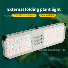 ledֲ���800W����gavita���Ͻ�ȫ���׷�̫���ⶥ����������