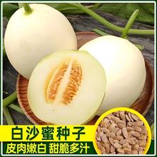 �����ɳ����ϷN�Ѵ��＾�߮a��Ƥ�ش��Ƥ��ϷN���ļ�ˮ���N��