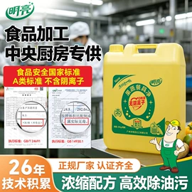 洗碗洗涤剂;洗洁精;多用途清洁剂