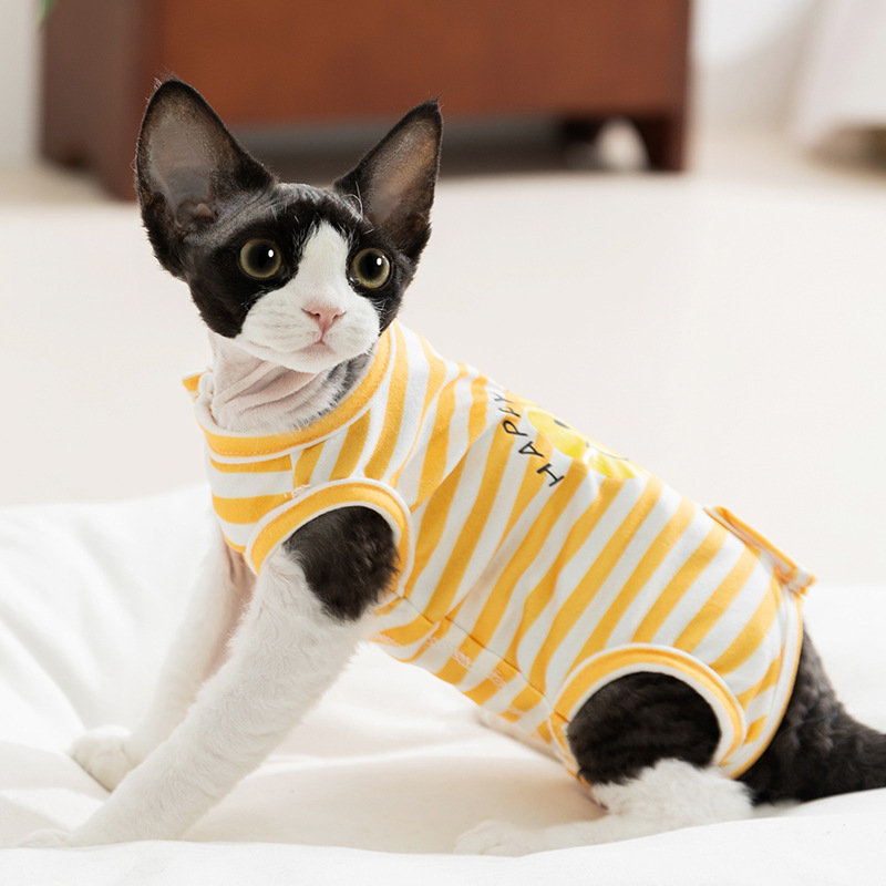 Ropa de gato, chaleco sin mangas cómodo de verano, habitación con aire acondicionado para perros pequeños y medianos
