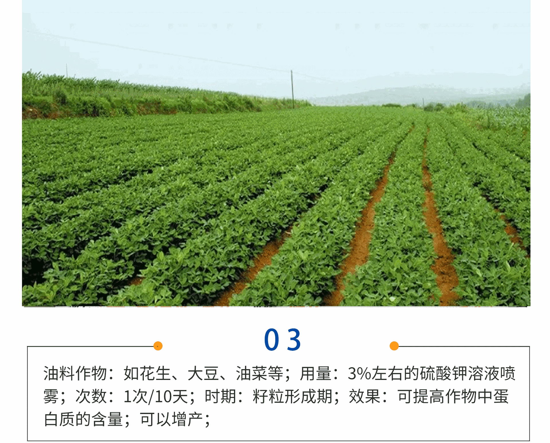 华运达-2_07.gif