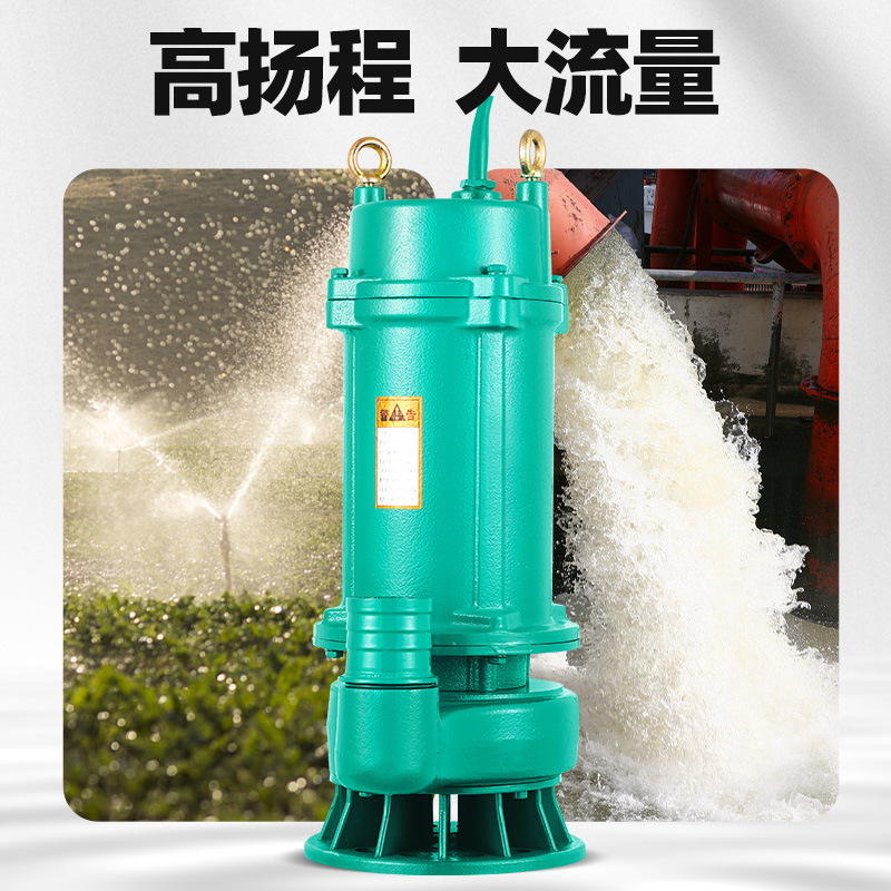 Bomba sumergible 220V bomba de bombeo doméstica de alta elevación gran flujo pequeña bomba de drenaje de lodo de drenaje de estiércol de riego agrícola