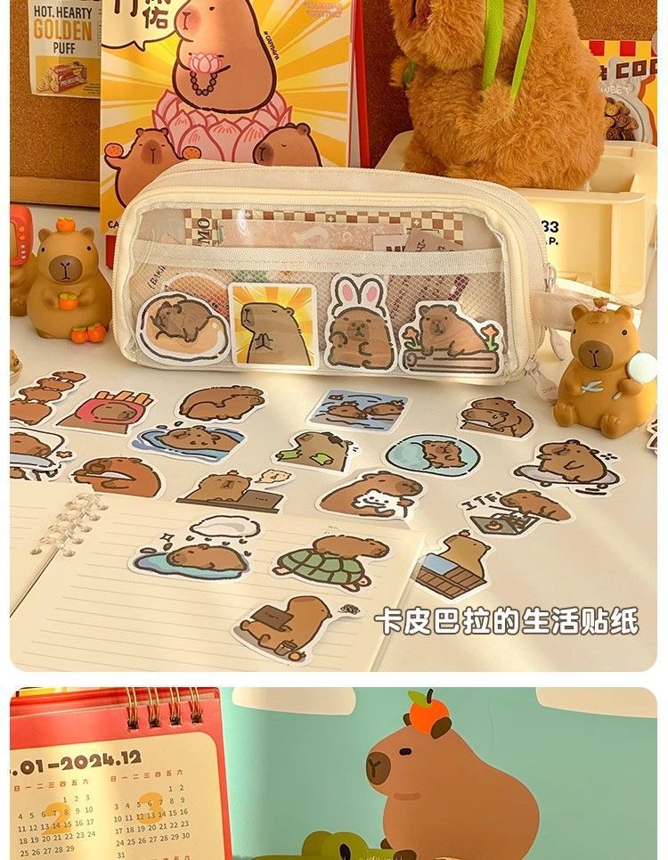 69e12961-5693-4921-b9fa-f6913f5800b2.jpe