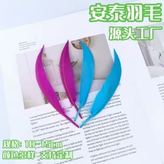 厂家鹅弯刀羽毛工艺品玩具装饰品DIY手工饰品鹅毛配件彩色鹅毛