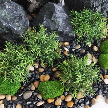 ާ쾰FݾG~ֲݼСݵ߲廨Gֲ^b