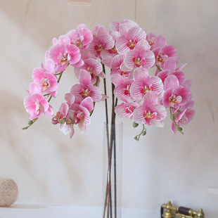 �S��ֱ�N 3D��ӡ�zƬ�����m���滨�Ҿӻ�c�[���bٻ�������
