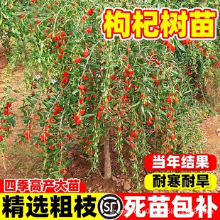 ʳ����轘����ϱ������Դ��箔��Y���ͺ��ͺ��ļ��Nֲ���������