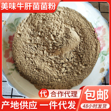 现货牛肝菌粉菌菇粉菌汤调料包 野生牛肝菌粉 牛肝菌研磨粉