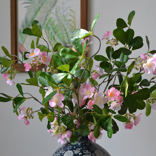 ���l���滨�Ҿ��b�����c�zӰ�G�����̾��^�仨�ļٻ����Ļ�֦