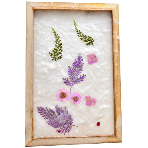 Ancient Papermaking Technique Material Set Kit Children's Handmade DIY Recycled Grass Paper Pulp Natural Grass Paper