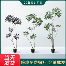 �����ȸľ���ԾGֲ����b͏d�٘��҃ȶU�����lܛ�b�Ӱ��g�쾰