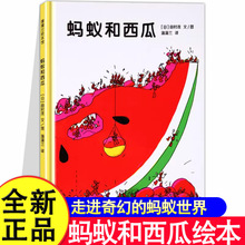 Λρ������ �O�����] �L��3&ndash;6�qӲ��2�q����������ͯ����