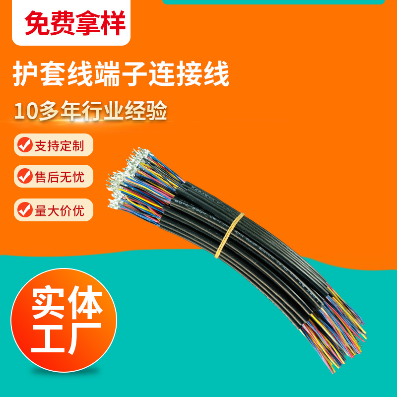 生产厂家护套线端子连接线端子线连接线束加工电子线材厂家批发