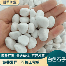 白碎石水洗石水磨石造景园林铺路白米石白色鹅卵石填充枯山水造景