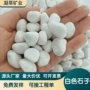 山水园林填充铺路水洗石