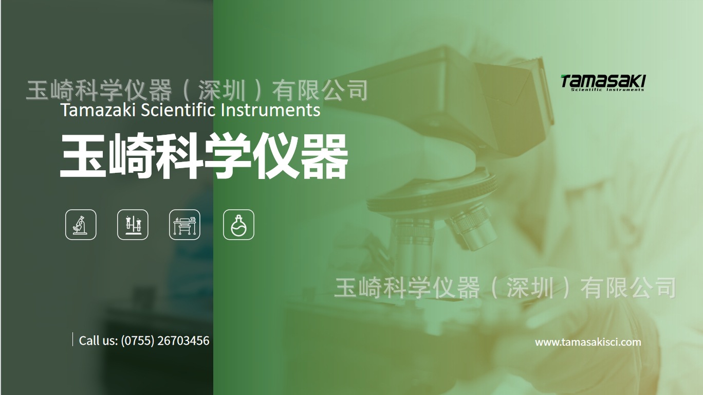 微信截图_20241021162949