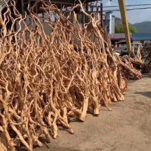现货天然杜鹃根枝条水族箱雨林缸宠物缸造景沉木