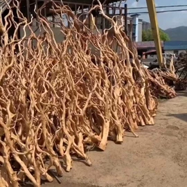 其它水族用品;造景/装饰;水族过滤设备
