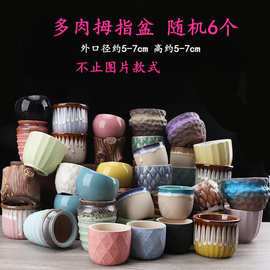 多肉花盆陶瓷特价透气粗陶室内肉肉植物小花盆组合批发厂一件批发