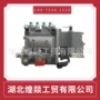 东风东风天龙c5304418发动机燃油泵