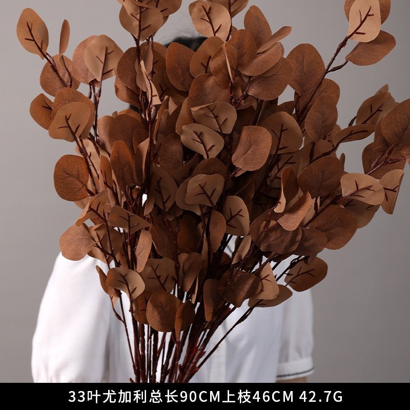 33 잎 유칼립투스