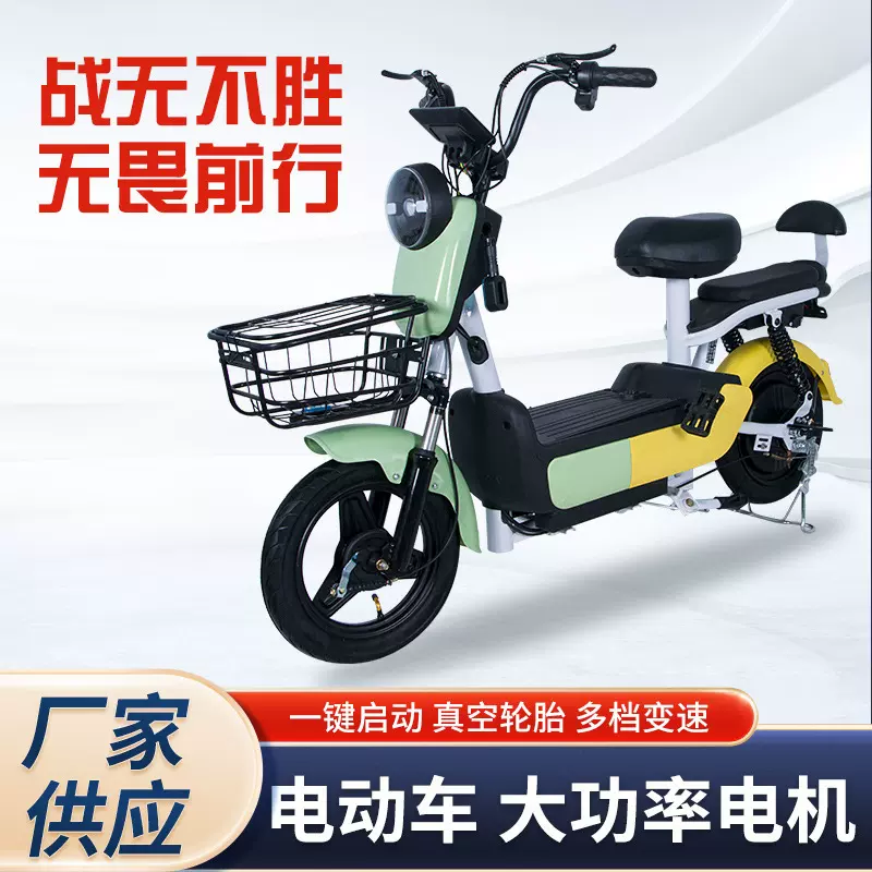 跨境电动女士自行车车工国标新款电动车两轮电瓶车工厂供应电单车