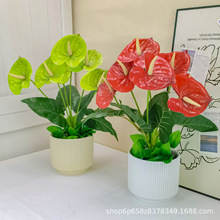 �羳3D��ӡ�t�Ʒ��滨���Q�ƻ�Y���üҾ��b���Gֲ�S�����l
