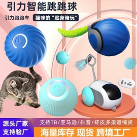 猫猫玩具;狗狗玩具;狗狗食具