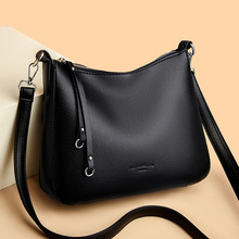 2025�¿�sܛƤ�߼��|��Ůʿ�μ�����������|�ٴ�ͨ��б�����