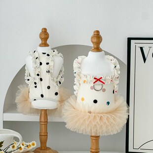 cȹR˹s̩ϏSҬF؛lﹷb