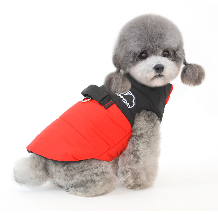 Dog Coat in Action