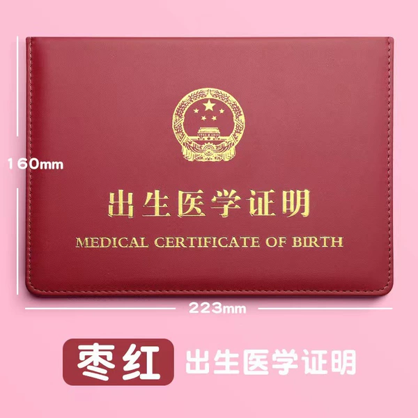 Large Line Large Birth Certificate