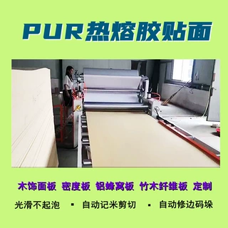木工异型板材贴面机 门板PET保护膜贴面机 铝板贴铝箔平贴机 远浩