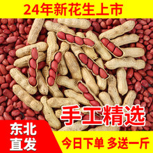 �tƤ����2025���r���ԷN��Ɏ����������t��������x��؛ԭζ