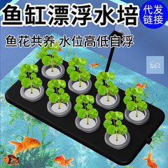 水耕植栽バスケットフローティング壁掛け吸盤グリーン植物造園水槽植栽バスケット家庭用水耕フローティング植栽ボード
