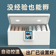 孵化器小型水床芦丁鸡孵蛋器家用全自动孵化机智能孵化箱小鸡鸭鹅