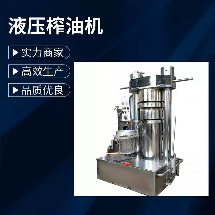 立式液压芝麻香油机 冷榨核桃油机器 小型加工山茶籽油设备