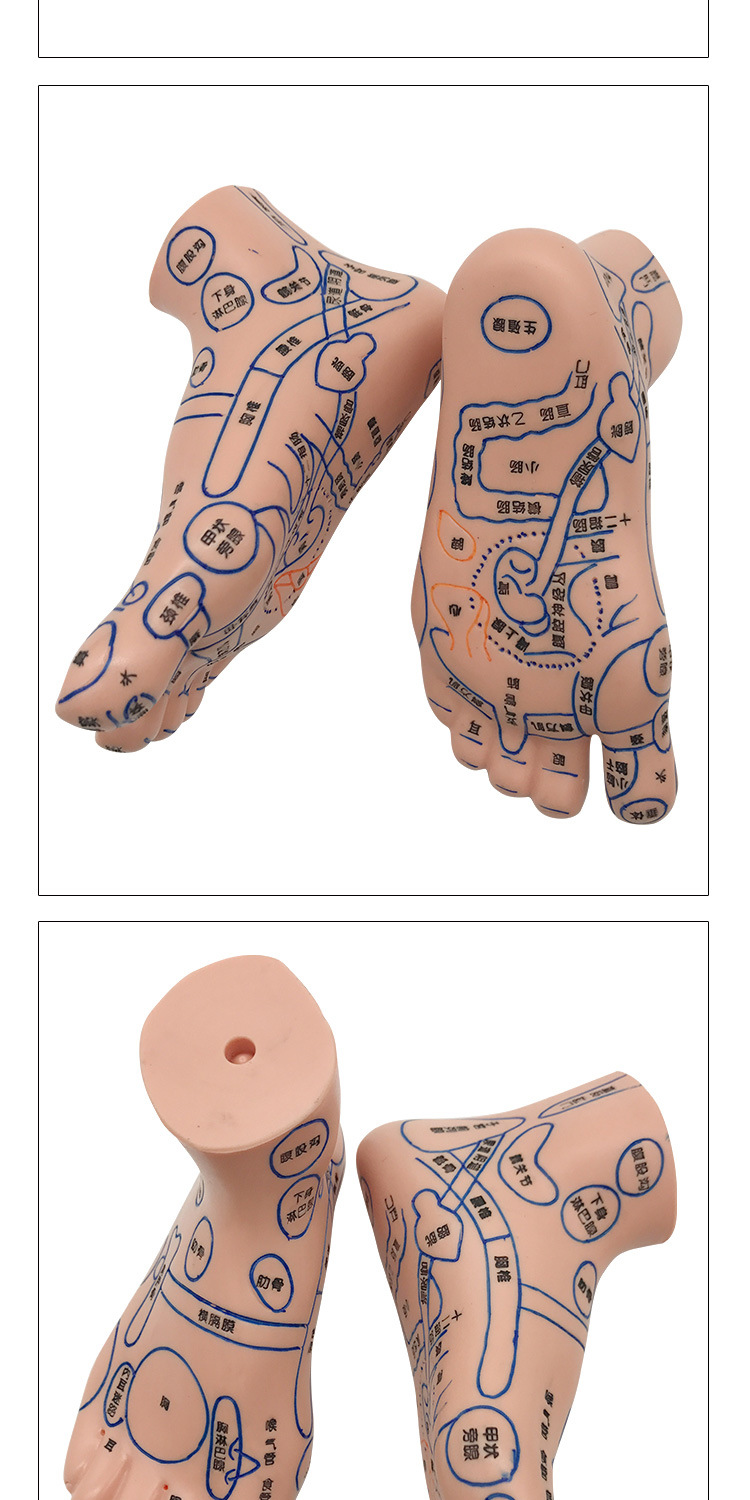 Foot Acupoint Reflexology Model with Clear Markings, Foot Reflex Zone Massager, Acupoint Stick, PVC Foot Model for Home Wellness Routine detail image