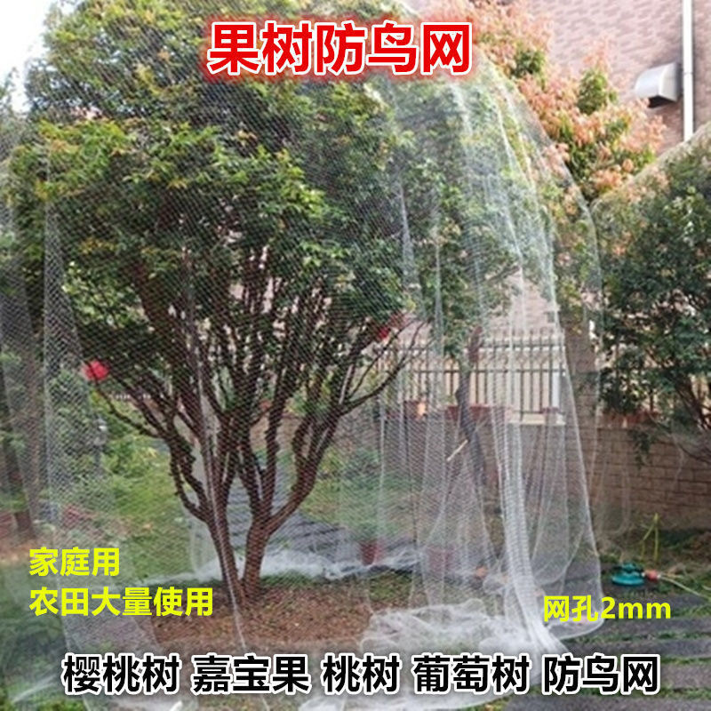 果树专用防鸟网樱桃树葡萄蔬菜防护罩尼龙网网罩果子防鸟网子批发