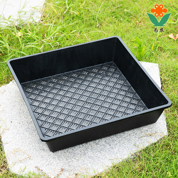 Greening planting pot container plate Buddha armor planting plate…
