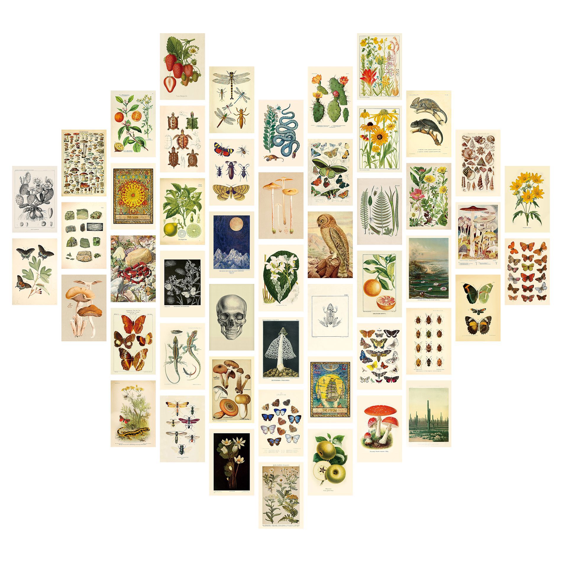 M3143-50매(양면 인쇄)