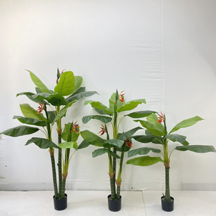 WWt˽ֲԴؾGֲ҃˽辰[